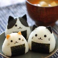 ꫛꫀꪝ✧‧˚🐬少人数🐳 大人のまったり雑談部屋 〜おはよう から おやすみまで〜