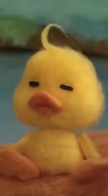 🐤กลุ่มเป็ดน้อย🐤