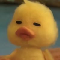 🐤กลุ่มเป็ดน้อย🐤