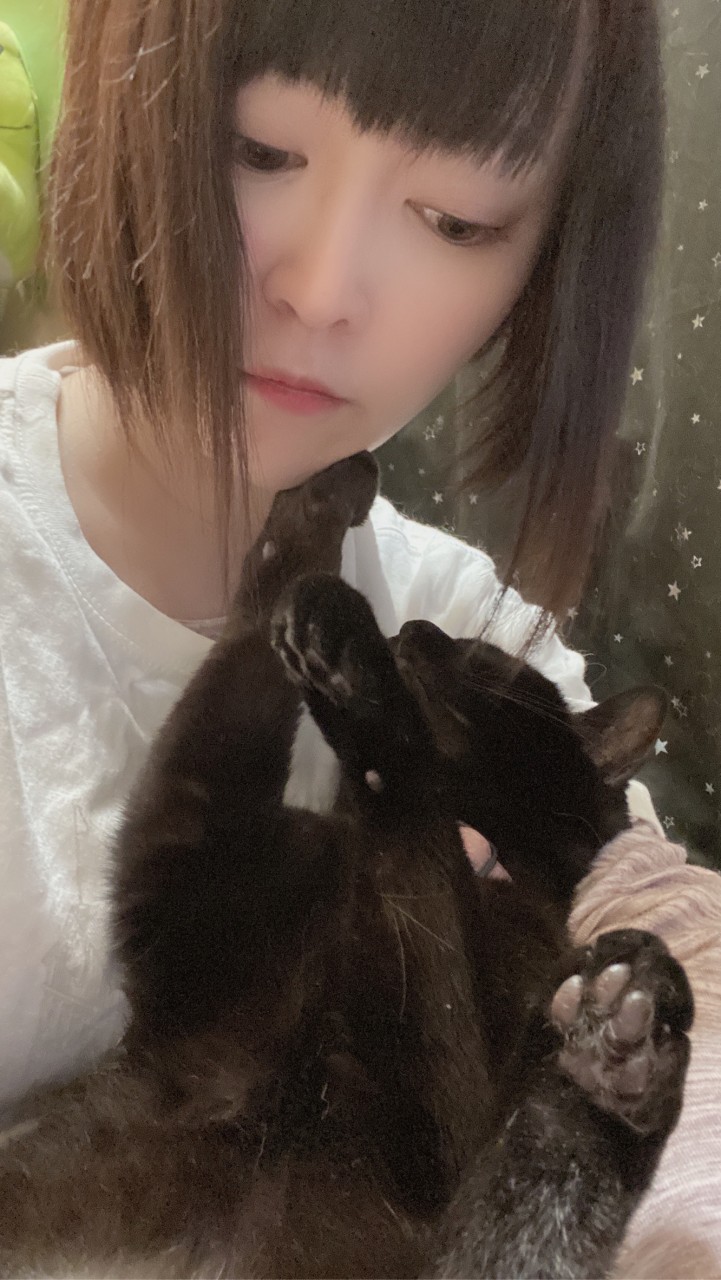 OpenChat 猫ミ,,・∀・,ﾐ さんと愉快な仲間達