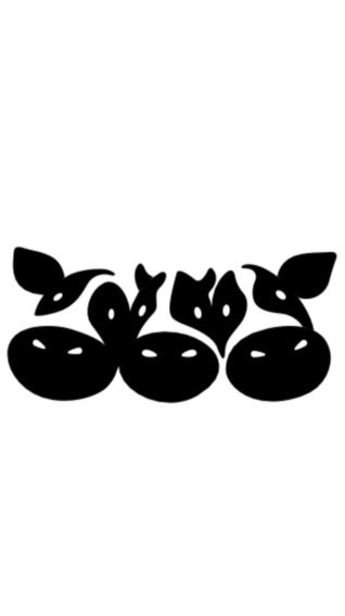 乳致品牌之路