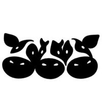 乳致品牌之路