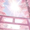 ｡❀𓂃◌𓈒𓐍刹那ノ徒桜(折也)〜準備中〜