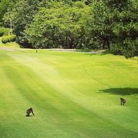 西東京（多摩地区）女子限定ゴルフ🏌️‍♀️