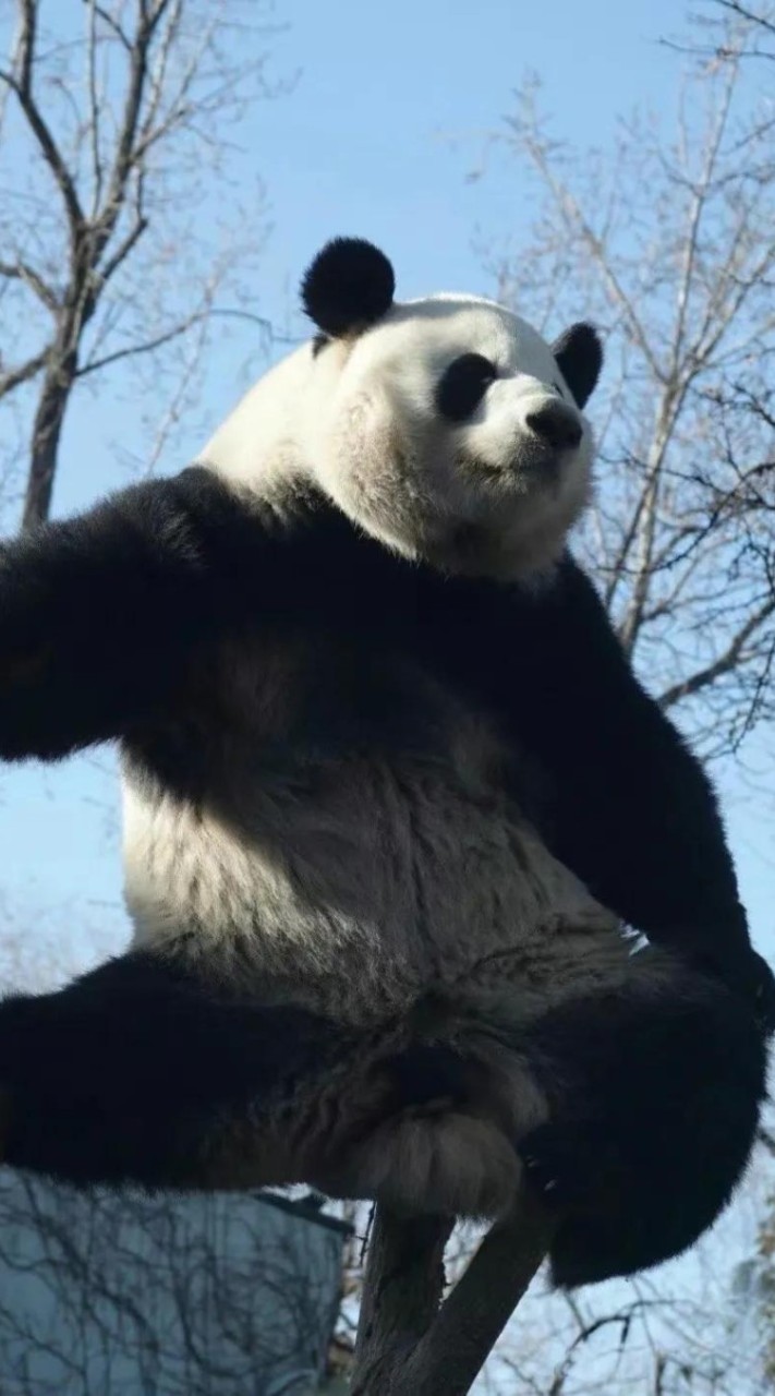農夫俱樂部