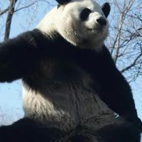 農夫俱樂部