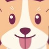 Corgy Der Kub