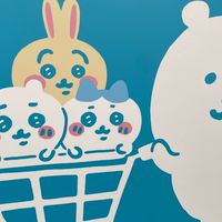 咪咪供應商