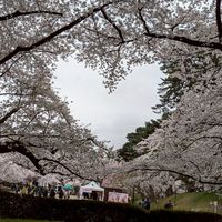 エコけんごみ拾い