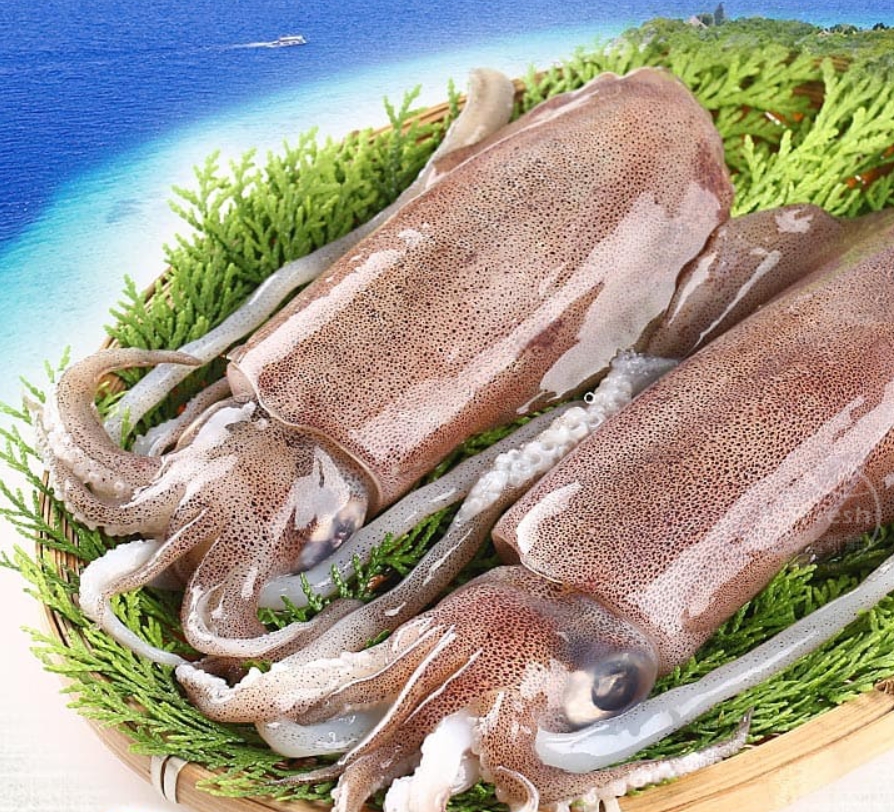 秋天食補食材推薦2. 墨魚