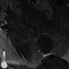 吸血鬼 x 哨嚮｜管理群