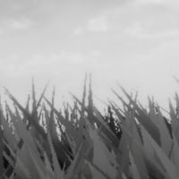 ʟᴏꜱᴛ ʀᴇᴀʟᴍꜱ ( แชทหลัก ) Rp/All Fandom