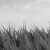 ʟᴏꜱᴛ ʀᴇᴀʟᴍꜱ ( แชทหลัก ) Rp/All Fandom