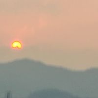 表演紀錄