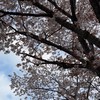 とにかく仲良く雑談トーク部屋　ペア画⚪︎恋人ごっこしようね！ゲームなどの話もしようね！イラストもいい！