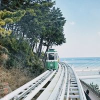 Bella口袋旅遊地圖‎ ᵕ̈ ᑋᵉᑊᑊᵒ