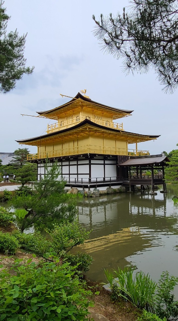 🍀京都旅行🍀好きな方🌱いろいろ会話しましょう！🐶
