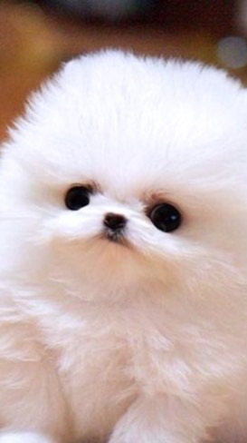 คุยเล่นๆ