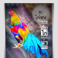 🐓:ไก่ชนคนใต้:🐓