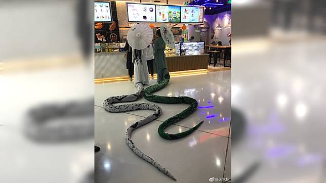 最強cos白蛇青蛇正面曝光網全暴動 娘子 我許仙 Tvbs Line Today
