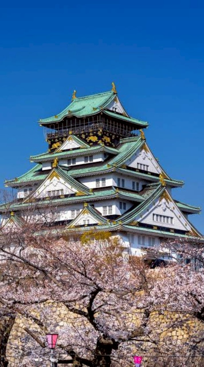 รับหิ้วญี่ปุ่น รอบบิน 7-11/01 🏮🇯🇵🌸