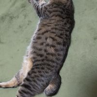 サポさんの部屋