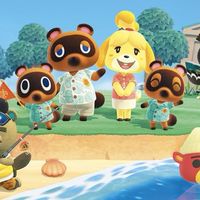 Animal crossing