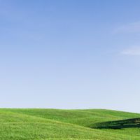 ร้านงานเกษตรศรีราชาแฟร์​ 2568