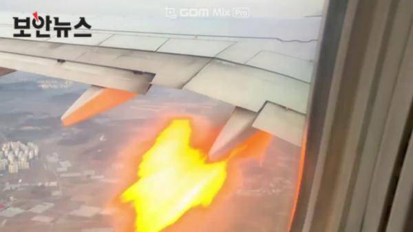 大韓航空乘客拍到引擎噴火 疑有雀鳥飛入致引擎故障 U Travel Line Today