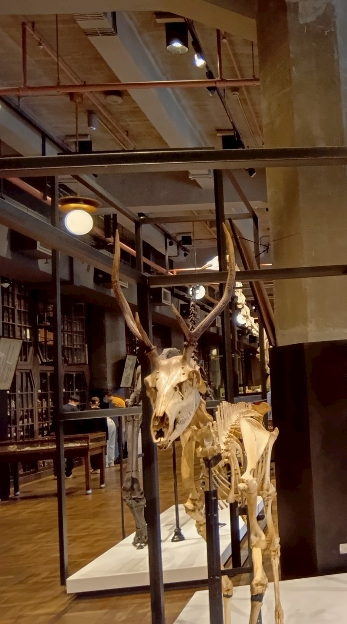 音楽好き集まれ!