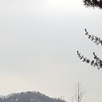 媽媽聊天團～最便宜～各品牌～好奇濕紙巾～尿布～好康道相報
