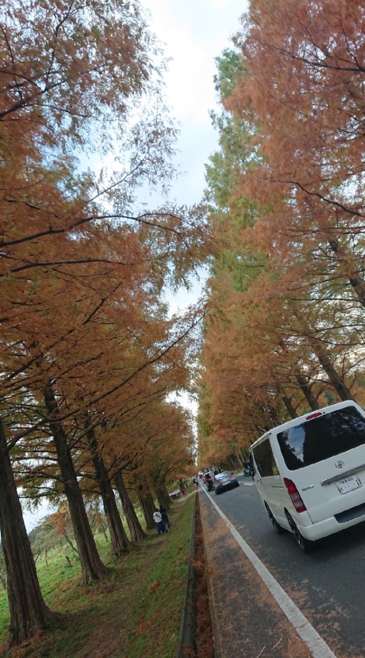 車好きオールジャンル