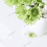 禮尚往來禮物買賣互惠群