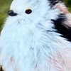 漫画・アニメ雑談