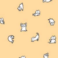 看護大学、看護専門学校を目指す受験生の集い😳