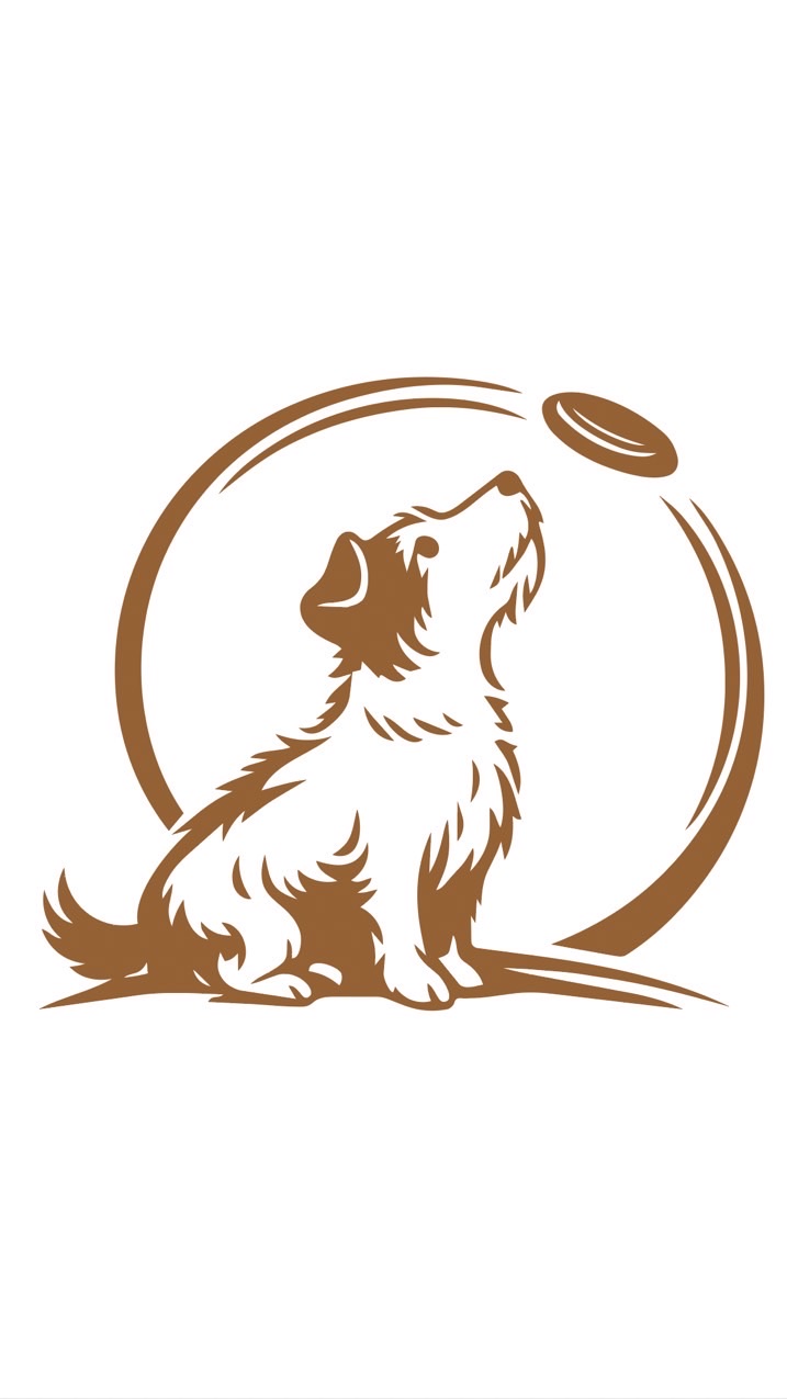 犬遊び塾ぱっくん