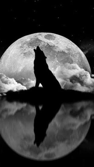 Black moon(ร.ร)
