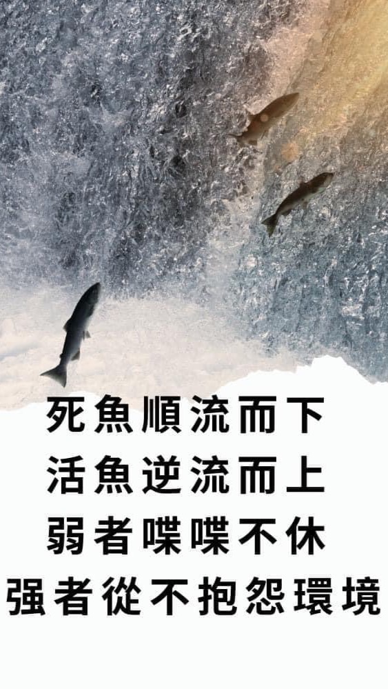 88磊山菁英超業智庫資訊運用