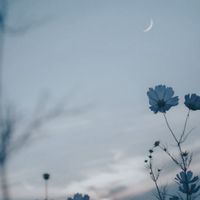 作詞作曲しよ