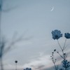 作詞作曲しよ