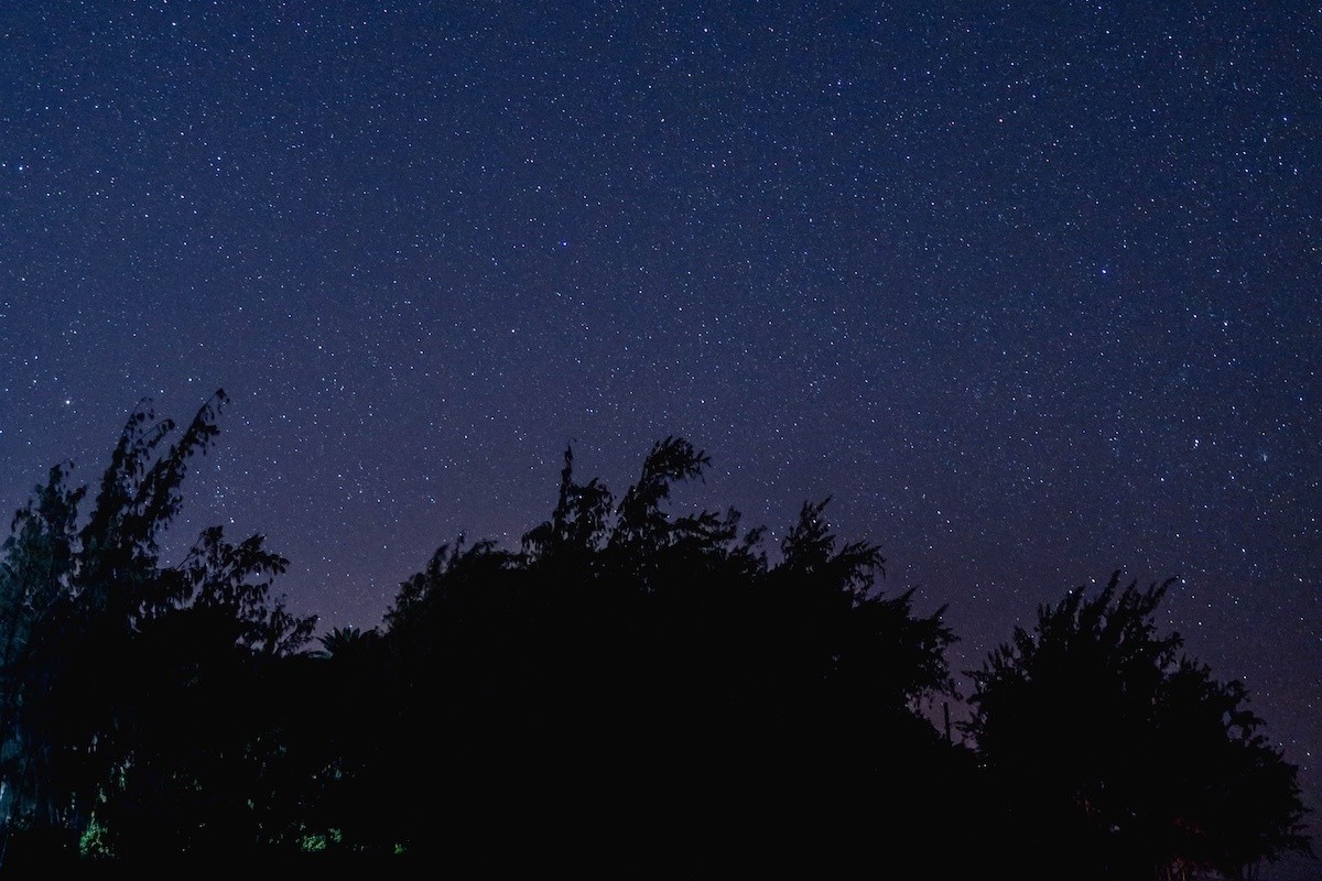 星座占い】牡羊座（おひつじ座）の性格や特徴「純粋さの体現者