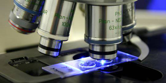 Fungsi Mikroskop Yang Perlu Anda Ketahui Berikut Bagian Bagiannya Merdeka Com Line Today