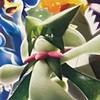 千葉県ポケカ情報共有