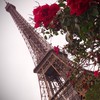 フランス🇫🇷✖️日本🇯🇵日仏カップル
