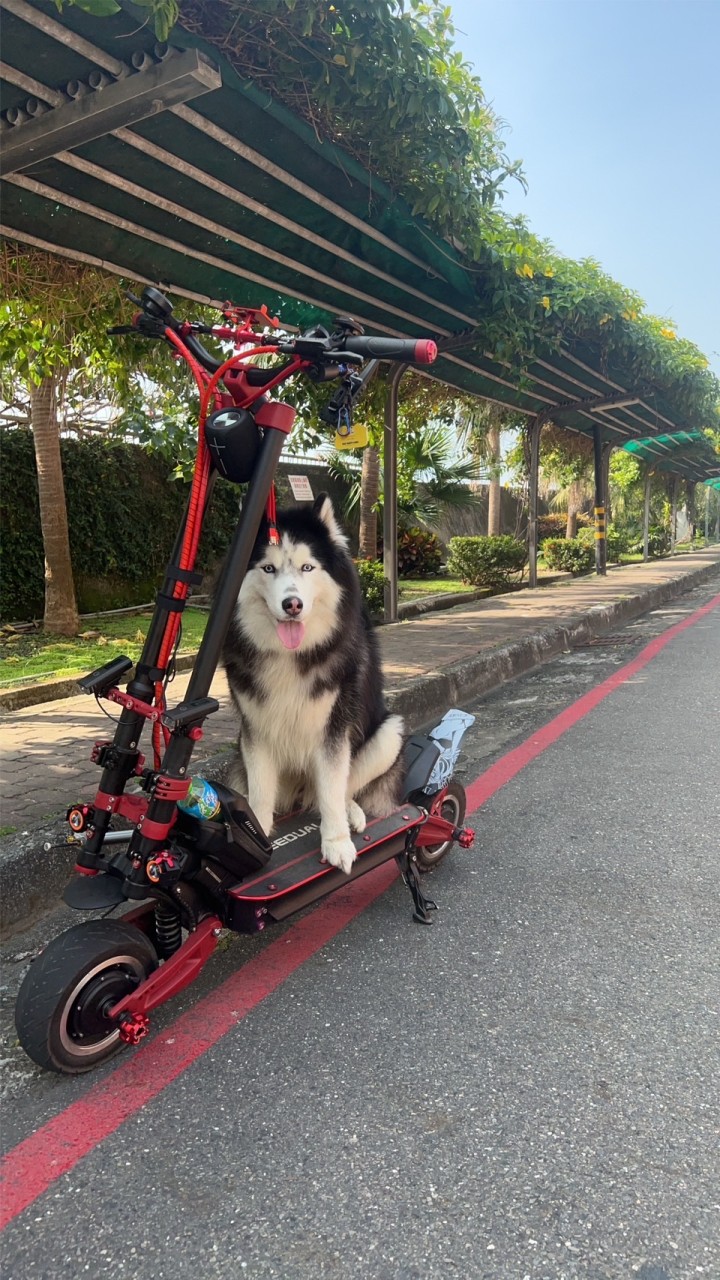 高雄電動滑板車經驗分享討論