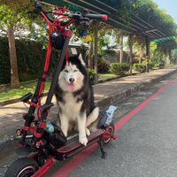 高雄電動滑板車經驗分享討論