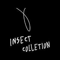 Insect Collection