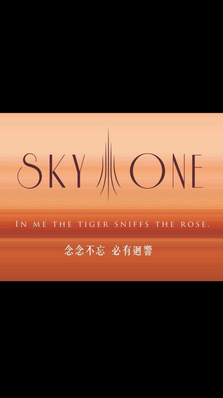 精銳Sky One 屋主群