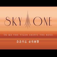 精銳Sky One 屋主群