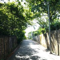 寫作靈感